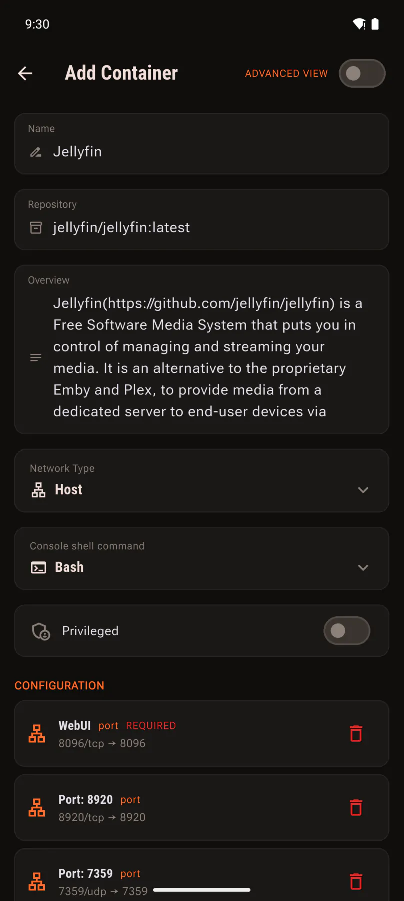 Add container form with repository, network type, privileged toggle and port mappings.